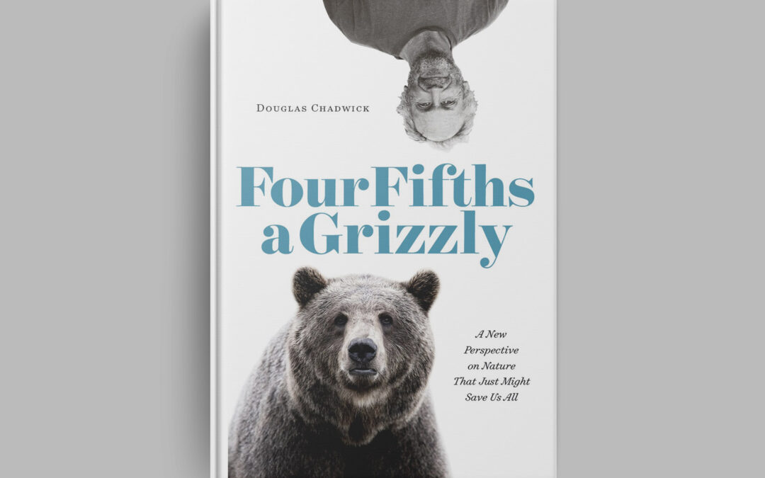Four Fifths a Grizzly by Douglas Chadwick