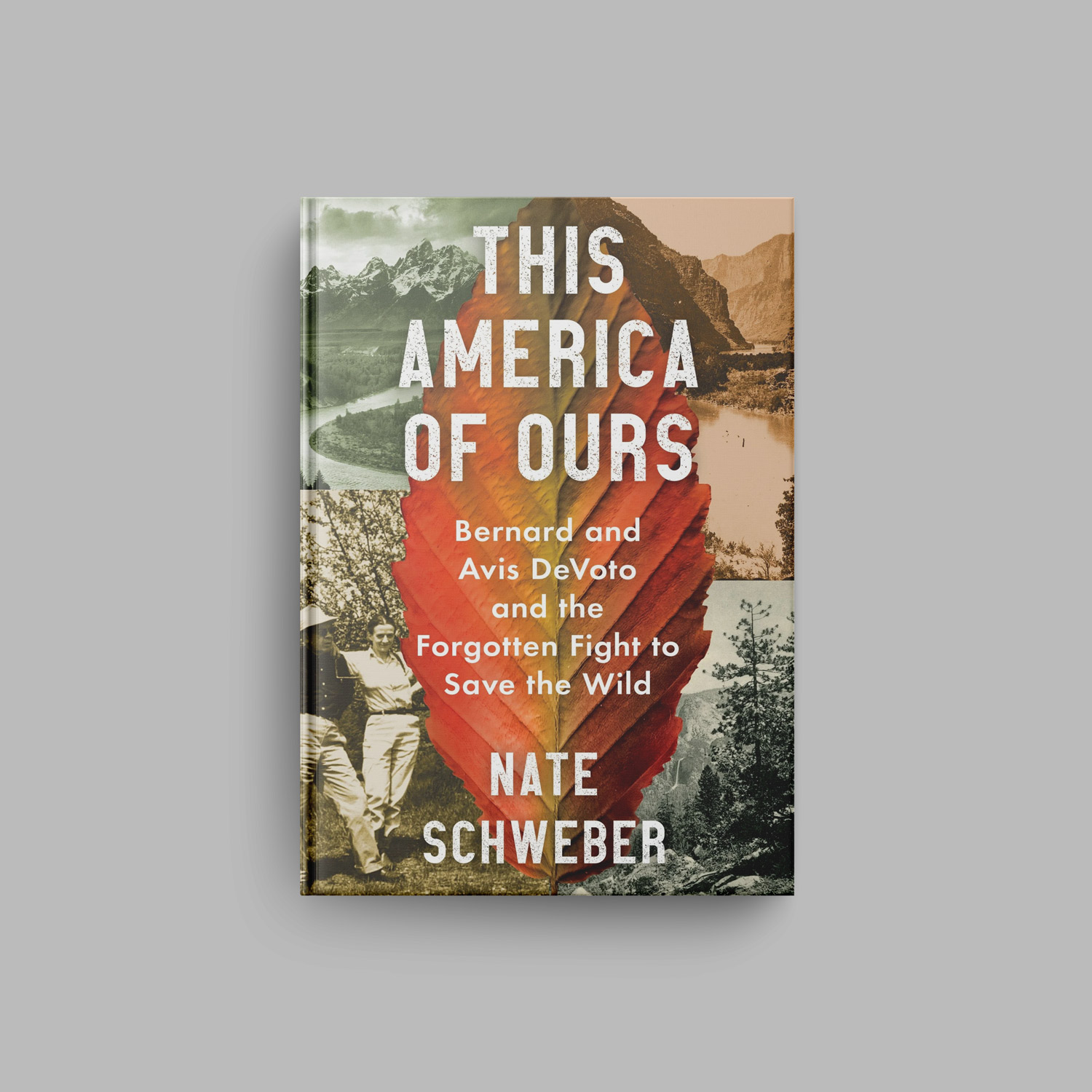 This America of Ours Book Mockup